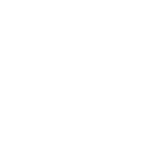 WordPress-logotype-wmark-white 1